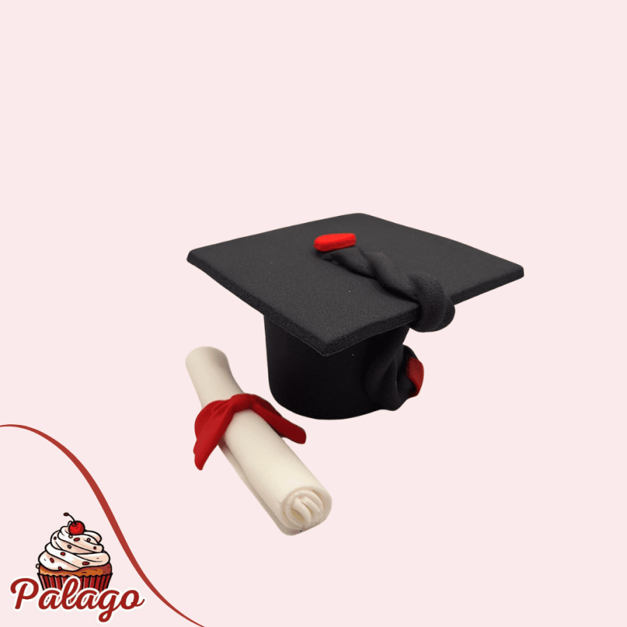 DIPLOMA UKRAS ZA TORTU